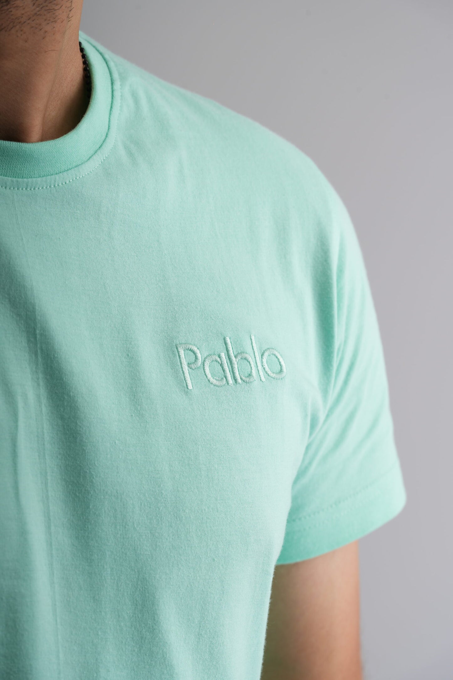 Sea green  Round Neck T-Shirt with Pablo Embroidery