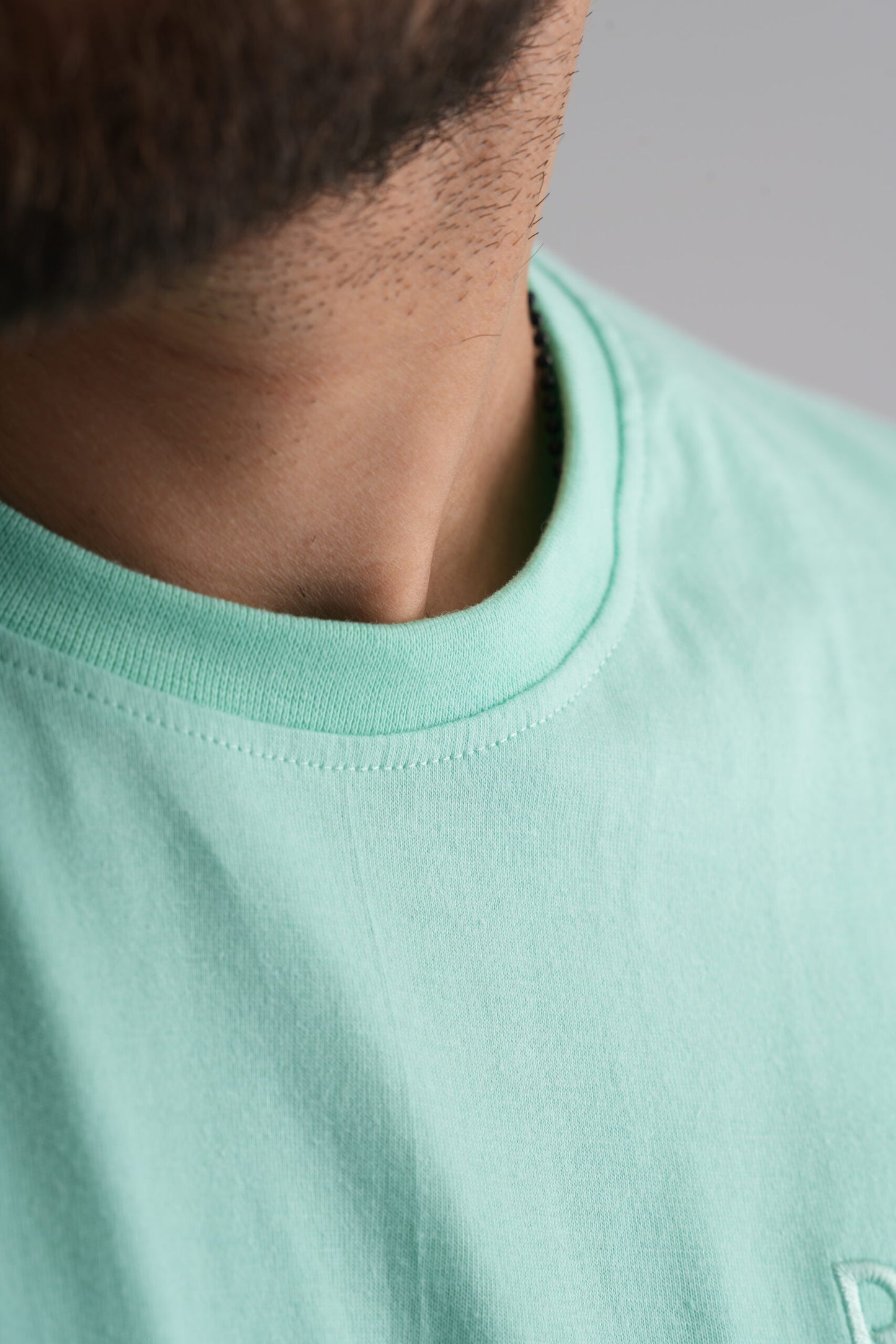 Sea green  Round Neck T-Shirt with Pablo Embroidery
